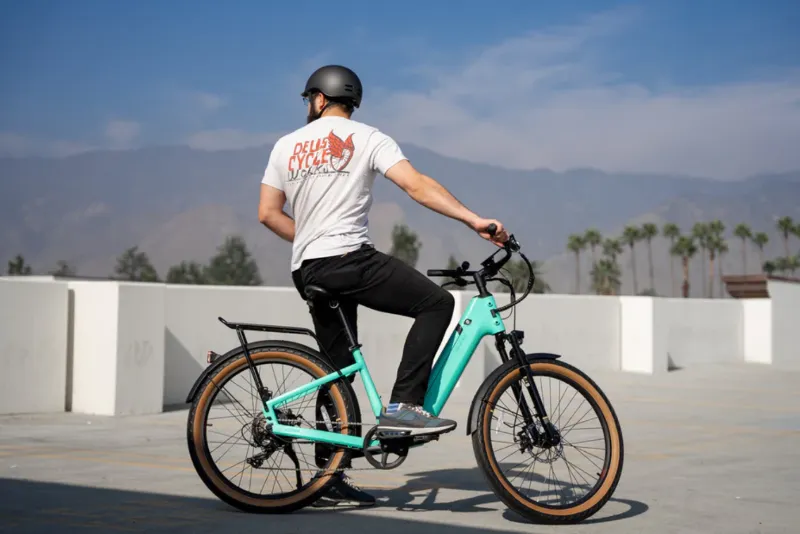 Electric Bikes: The Ultimate Stabilizer